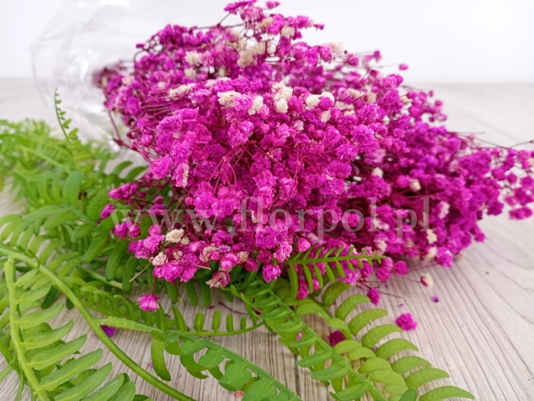 hurtownia florystyczna 10317.jpg