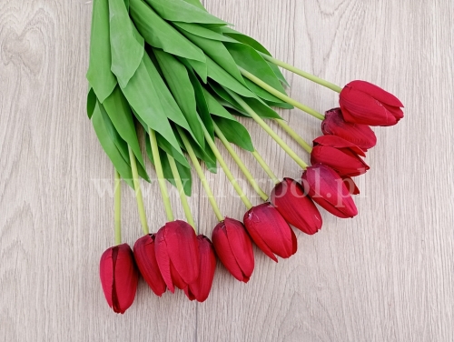 tulipan w pęczku 12szt dr.red (ART259)