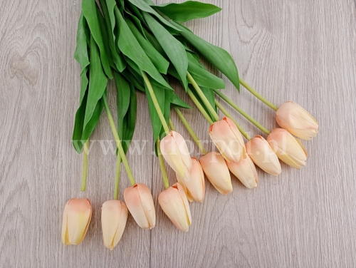 tulipan w pęczku 12szt vanilla (ART259)