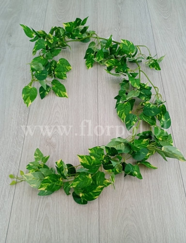 girlanda scindapsus 1szt zielony/waniliowy (BL061)