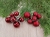 paradowscy_ 10477.jpg
