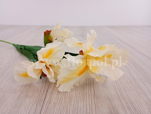 irys potrójny satynowy 6szt krem (HD2100176)
