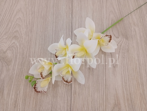 cymbidium krótkie 6szt #1 biały/waniliowy (FJ065)