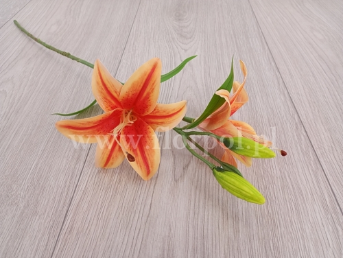 lilia pojedyncza 2k 1szt pomarańcz/czerwień (FJ052)