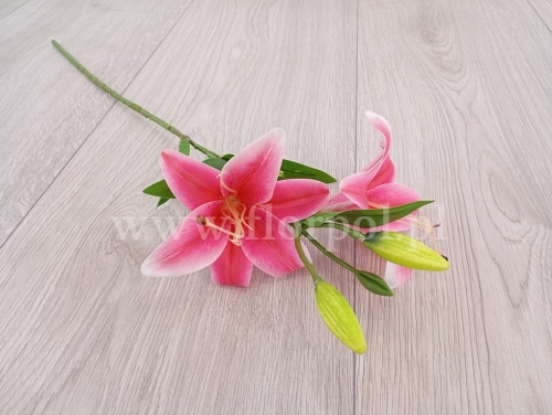 lilia pojedyncza 2k 1szt różowy (FJ052)