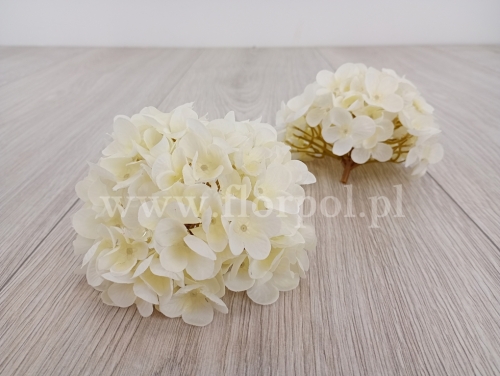 hortensja wyrobowa 1szt ecru (MY110)