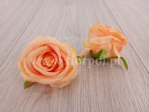 róża wyrobowa 12szt brzoskwinia/róż (LR2320061)