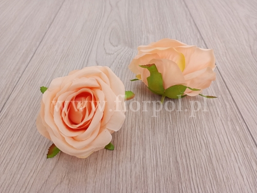 róża wyrobowa 12szt brzoskwinia (LR2320061)