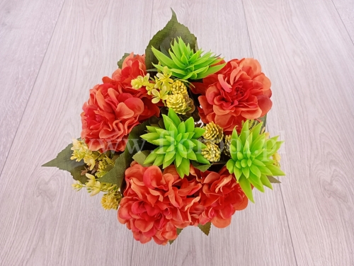 bukiet - dalia kulka i sukulent 1szt  pomarańcz (T60-24-1834)