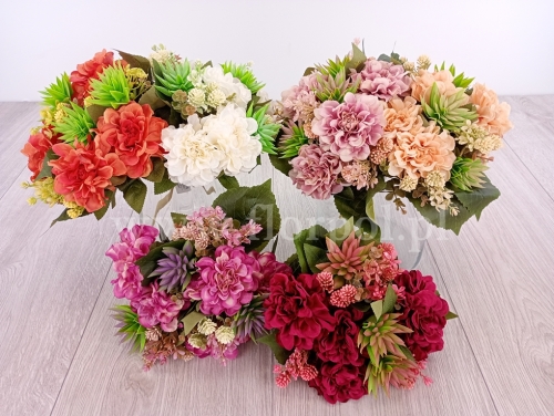 bukiet - dalia kulka i sukulent - karton 12szt  mix (T60-24-1834)