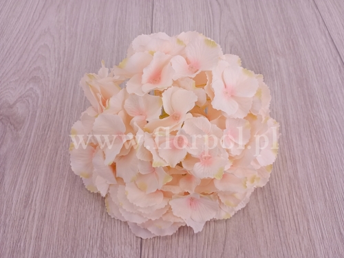 hortensja cieniowana duża 1szt # beige (CHQ01)