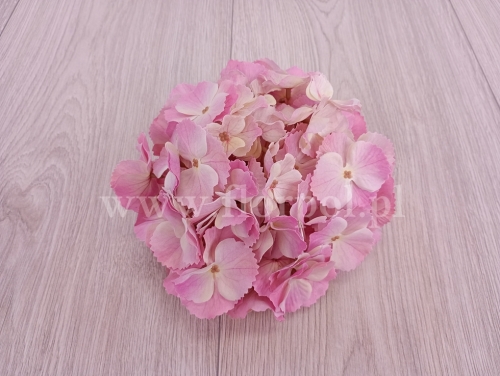 hortensja cieniowana duża 1szt #1 róż/ecru/pistacja (02AUT) (CHQ01)