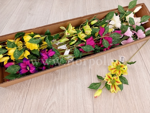 łodyga clematis - karton 24szt mix 2(P-019)