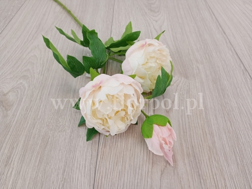 peonia na łodydze 3k silikon 1szt  ecru (AMK3403P) 25022026a