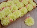 hurtownia florystyczna 11210.jpg