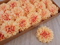 hurtownia florystyczna 11209.jpg