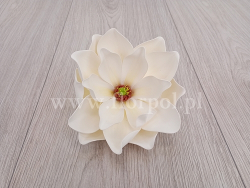 magnolia wyrobowa, pianka 1szt ecru (KWP00087_)