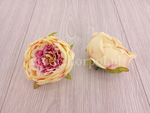 peonia cieniowana wyrobowa 12szt wanilia/pud.fiolet (MD1585)