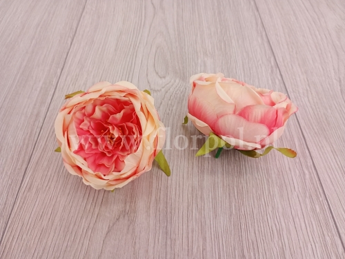 peonia cieniowana wyrobowa 12szt łosoś/krem (MD1585)