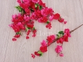 d1fe035114ff426ecf90dfaba301035f