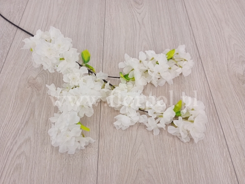 jabłoń kwitnąca 1szt ecru (PT03-38)