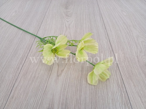 Warszawianka - łodyga 1szt jasna zieleń (TA-3)