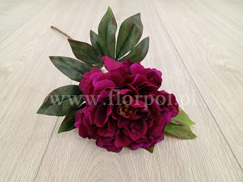 peonia pojedyncza 1szt cyklamen (FA0816) 25022026a