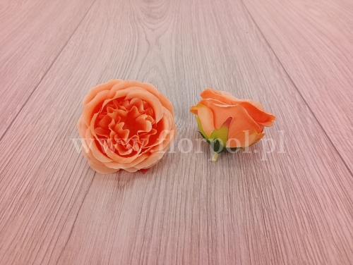 róża wyrobowa angielska 12szt jasny pomarańcz (T137-23-0614)