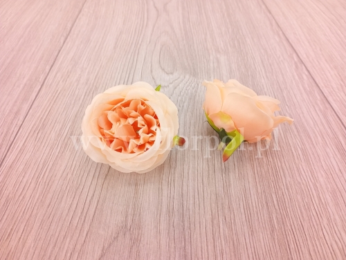 róża wyrobowa angielska 12szt krem (T137-23-0614)