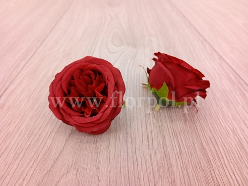 róża wyrobowa angielska 12szt bordo (T137-23-0614)