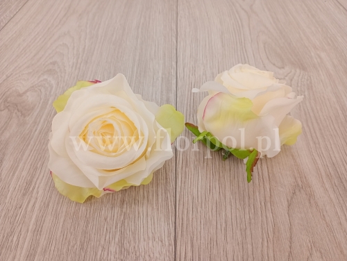 róża wyrobowa 12szt śmietanka (ROA)