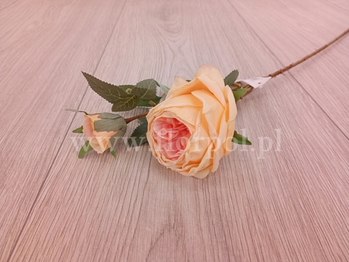 róża pojedyncza podsuszana 1szt j.żółtko/róż (PT01-11)