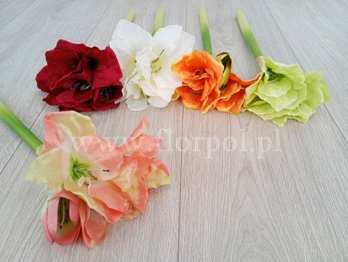 amarylis satynowy wazonowy - karton 12szt mix (FA0813)