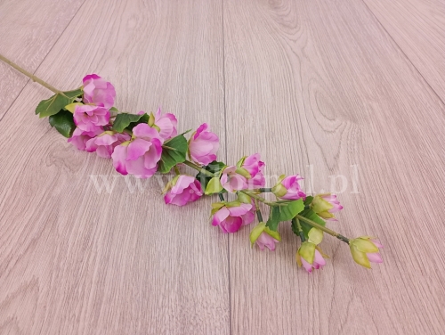 malwa pojedyncza 1szt lila/róż (FA0808)