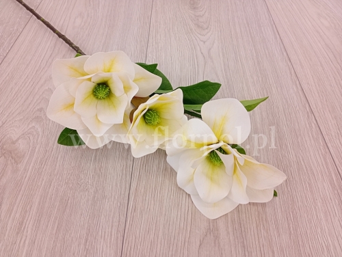 magnolia wazonowa "trójka" 1szt biały/pistacjowy (FA0801)  c1032026c