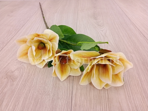 magnolia wazonowa "trójka" 1szt jasna musztarda (FA0801)   c1032026c