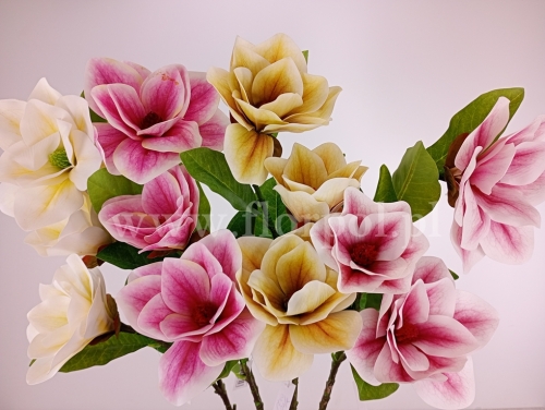 magnolia wazonowa "trójka" - karton 24szt mix (FA0801)   c1032026c