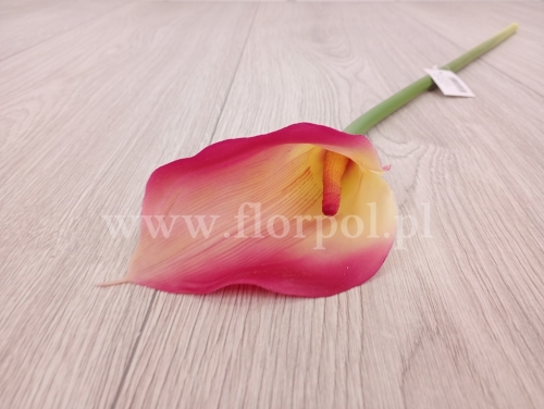 f53f49d0877cad7fbad1c066e0a721fe