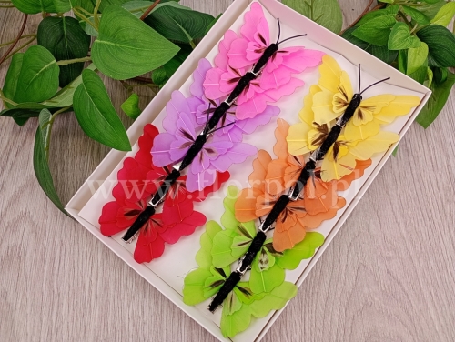 motylki clip 8cm 12szt mix (*288577)