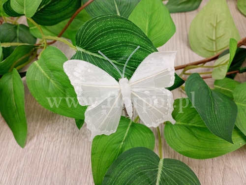 motylki clip 8cm 12szt biały (*A22013-1)