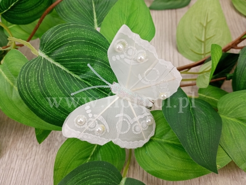 motylki clip 8cm 12szt biały (*A21284-1)