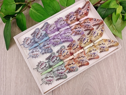 motylki clip 8cm 12szt mix (*A24826-LT)