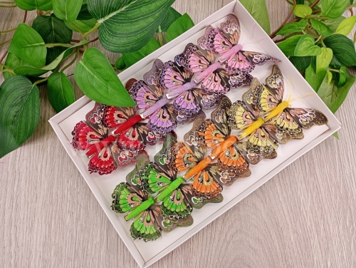 motylki clip 8cm 12szt mix (*A24130)