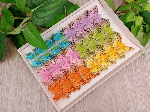 motylki clip 5cm 24szt mix (*288363)