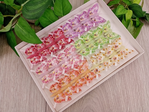 motylki clip 5cm 24szt mix (*A24122-LT)