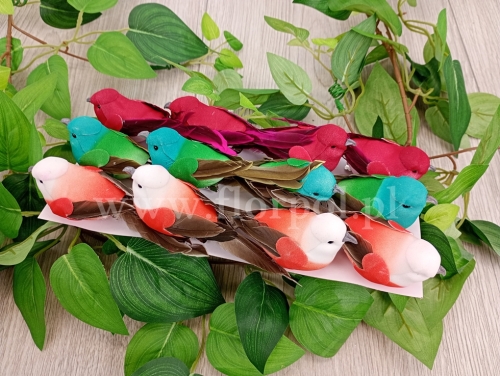 ptaszki na klipsie 12szt mix (*20212050)