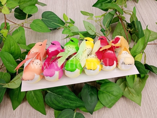 ptaszki na klipsie 12szt mix (TM250649-1)