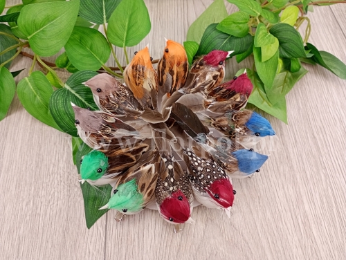 ptaszki na klipsie 12szt mix (*193244)