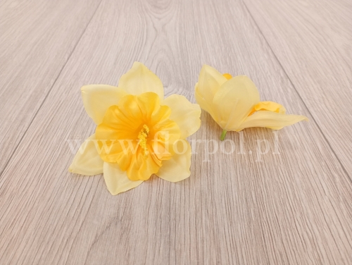 żonkil satynowy, wyrobowy 24szt wanilia/żółty