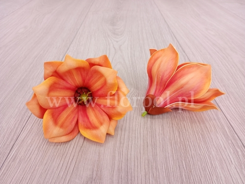 8b00a04804c4eefdd4f51972e3eac60a